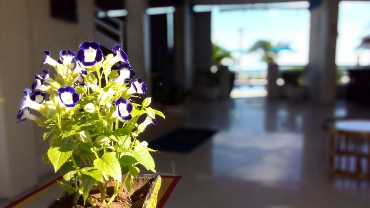 Hotel Brisa Mar Flecheiras Zewnętrze zdjęcie